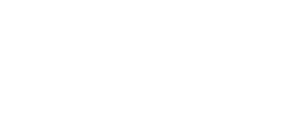 NOVIS Bestattungen Logo